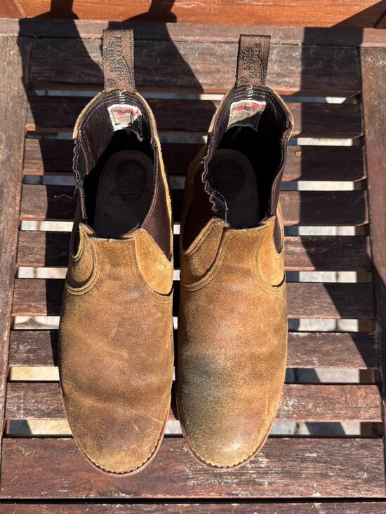 Red Wing Classic Chelsea 3192 in Hawthorne Muleskinner Suede Leather Boot 11.5 D main image 5